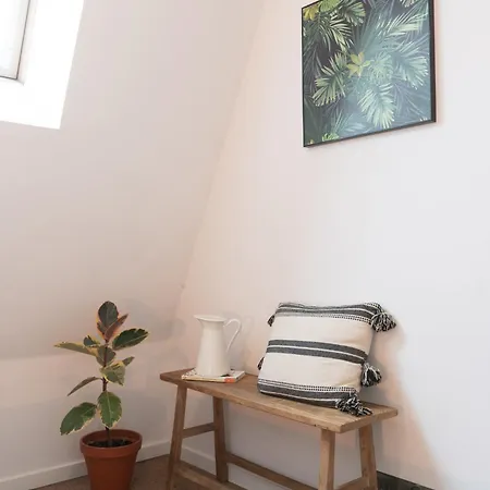 Apartment With A Roof Terrace *