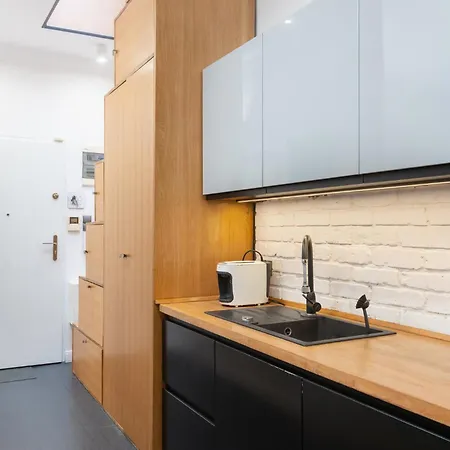 With A Roof Terrace Posen