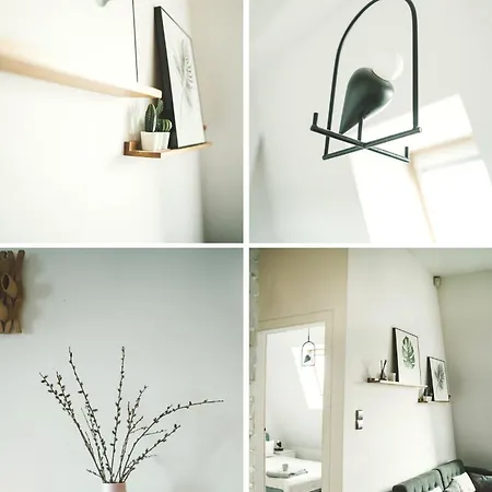 With A Roof Terrace * Posen